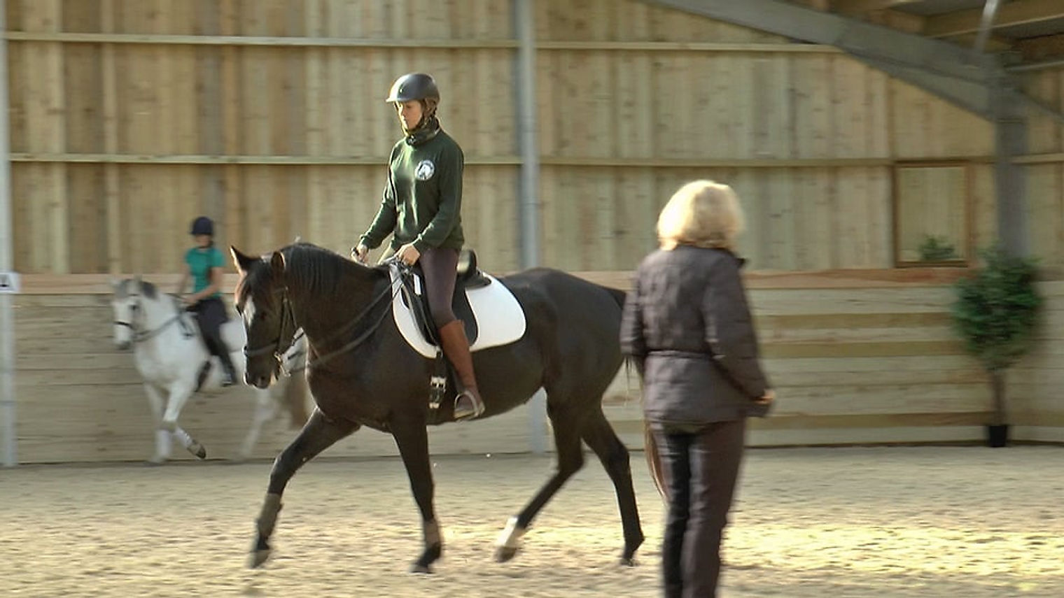 Online Classical Riding Academy: free previews